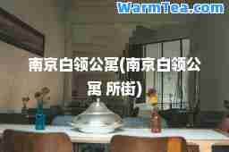 南京白领公寓(南京白领公寓 所街)