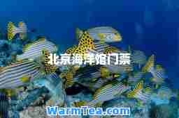 北京海洋馆门票