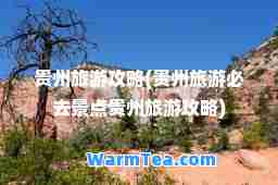 贵州旅游攻略(贵州旅游必去景点贵州旅游攻略)