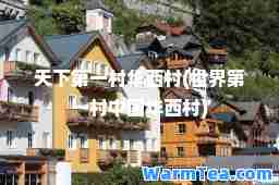 天下村华西村(世界村中国华西村)