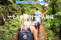 一个人去旅行(一个人如何去旅游)