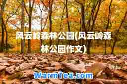 风云岭森林公园(风云岭森林公园作文)