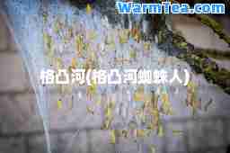 格凸河(格凸河蜘蛛人)