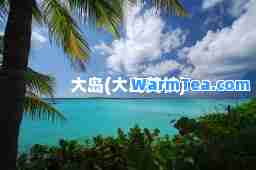 大岛(大岛英枝)