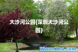 大沙河公园(深圳大沙河公园)