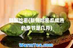 新疆哈密(新疆哈密瓜成熟的季节是几月)