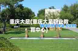 重庆大足(重庆大足职业教育中心)