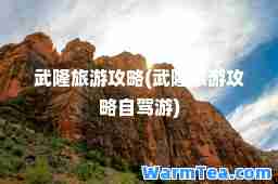 武隆旅游攻略(武隆旅游攻略自驾游)