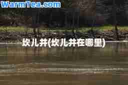 坎儿井(坎儿井在哪里)