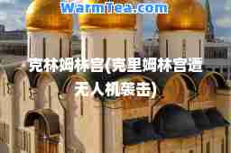 克林姆林宫(克里姆林宫遭无人机袭击)