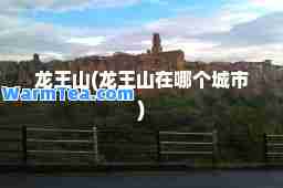 龙王山(龙王山在哪个城市)