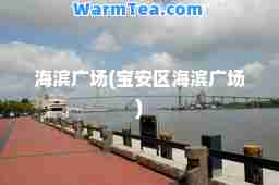 海滨广场(宝安区海滨广场)