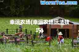 幸运农场(幸运农场玩法技巧)