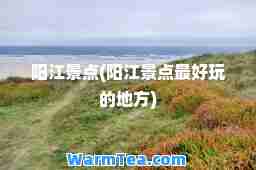 阳江景点(阳江景点最好玩的地方)