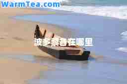 波多黎各在哪里