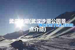 武汉沙湖(武汉沙湖公园景点介绍)