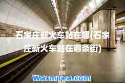 石家庄新火车站在哪(石家庄新火车站在哪条街)
