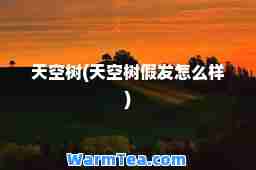 天空树(天空树假发怎么样)