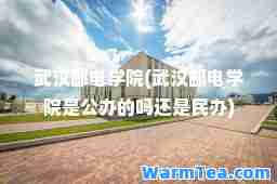 武汉邮电学院(武汉邮电学院是公办的吗还是民办)