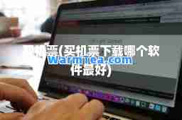 买机票(买机票下载哪个软件最好)