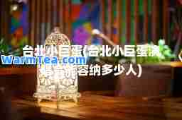 台北小巨蛋(台北小巨蛋演唱会能容纳多少人)