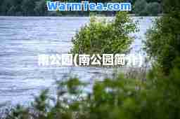 南公园(南公园简介)