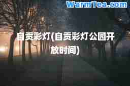 自贡彩灯(自贡彩灯公园开放时间)