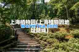 上海植物园(上海植物园地址路线)
