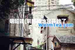 明昭陵(明昭陵地宫开放了吗)