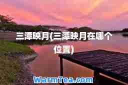 三潭映月(三潭映月在哪个位置)