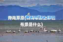 青海草原(青海草原上彩色布条是什么)