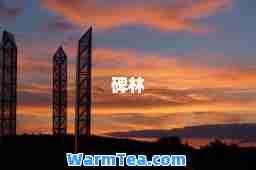 碑林