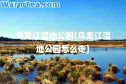 乌龙江湿地公园(乌龙江湿地公园怎么走)