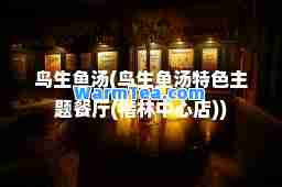 鸟生鱼汤(鸟生鱼汤特色主题餐厅(楷林中心店))