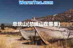 总统山(总统山在哪里)