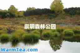 崇明森林公园