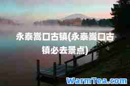 永泰嵩口古镇(永泰嵩口古镇必去景点)