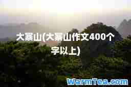 大寨山(大寨山作文400个字以上)