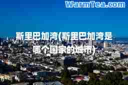斯里巴加湾(斯里巴加湾是哪个国家的城市)