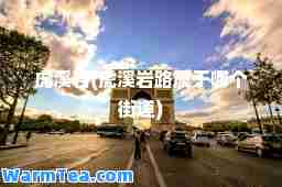 虎溪岩(虎溪岩路属于哪个街道)