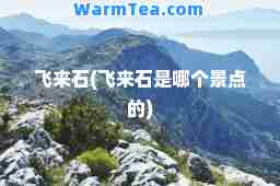 飞来石(飞来石是哪个景点的)