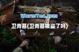 卫青墓(卫青墓被盗了吗)