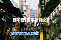 首尔塔(首尔塔韩文)