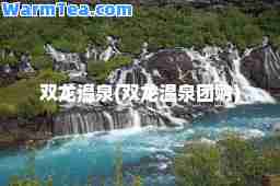 双龙温泉(双龙温泉团购)