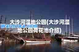 大沙河湿地公园(大沙河湿地公园荷花池介绍)