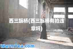 西三旗桥(西三旗桥有拍违章吗)