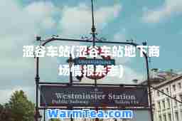 涩谷车站(涩谷车站地下商场情报杂志)