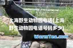 上海野生动物园电话(上海野生动物园电话号码多少)