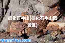 德化石牛山(德化石牛山风景区)