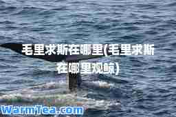 毛里求斯在哪里(毛里求斯在哪里观鲸)